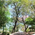 ¿Cuánto se debe invertir en infraestructura verde en Asunción?